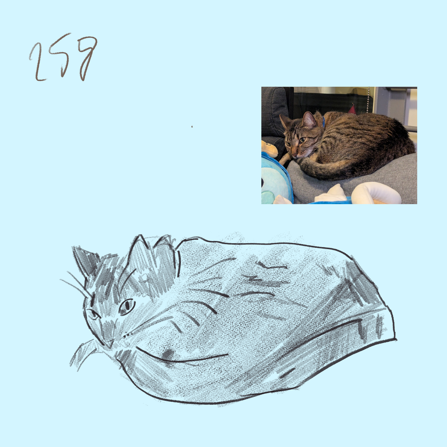 day 258: more arlo, this time on the couch