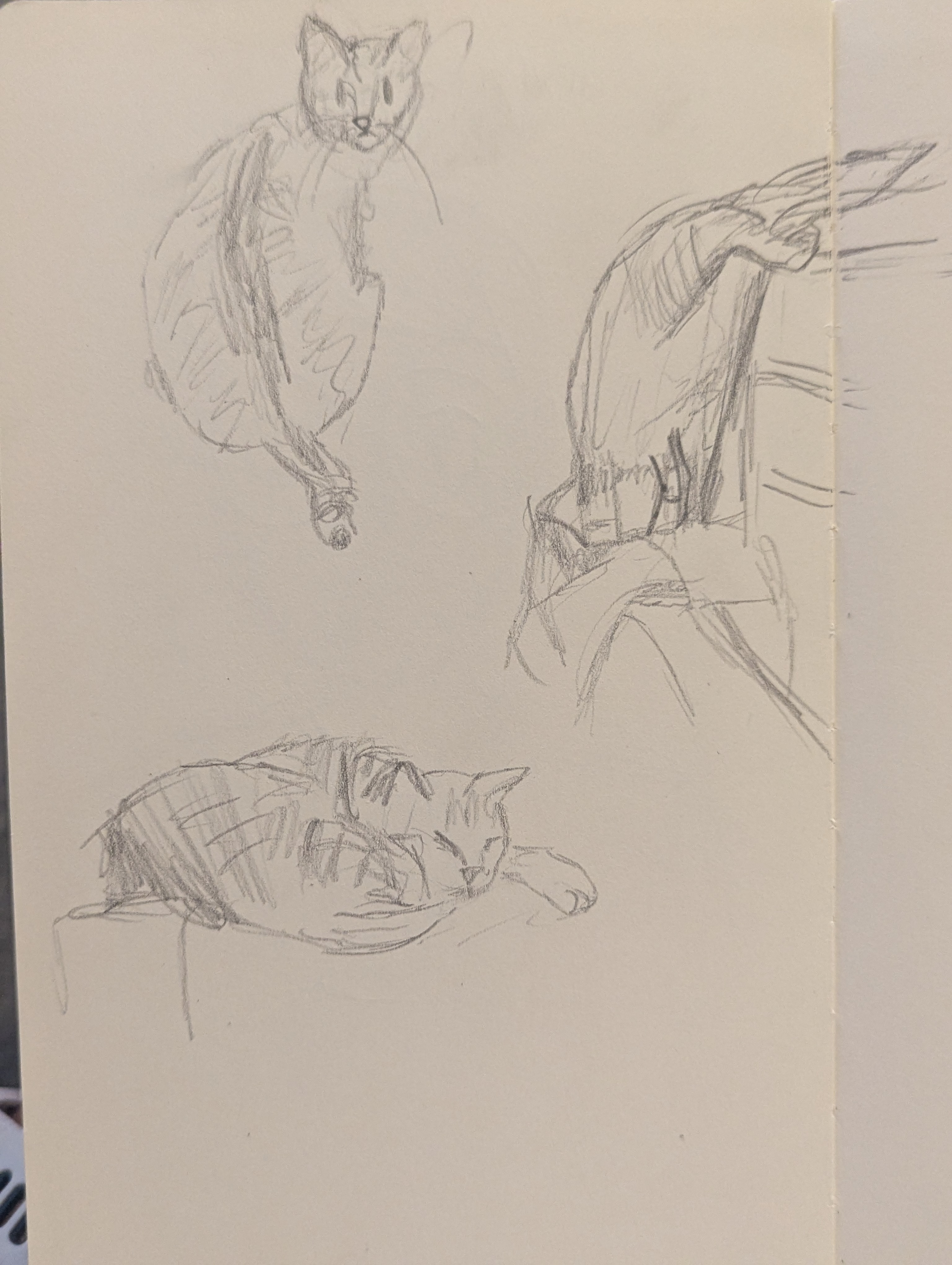 day 268: i depict him with pencil also!